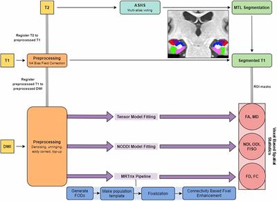 Microstructural Alterations in Hippocampal Subfields Mediate Age-Related Memory Decline in Humans